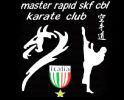 Master Rapid Skf